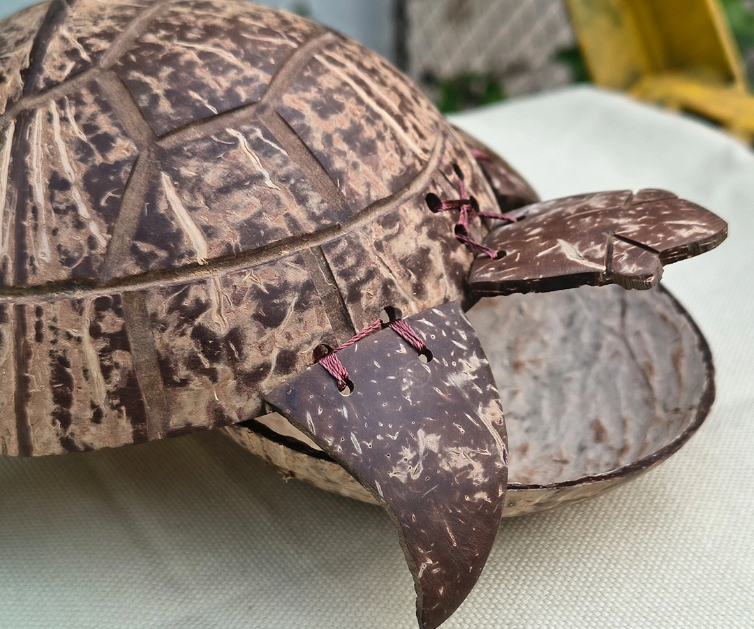 Turtle Home Decor